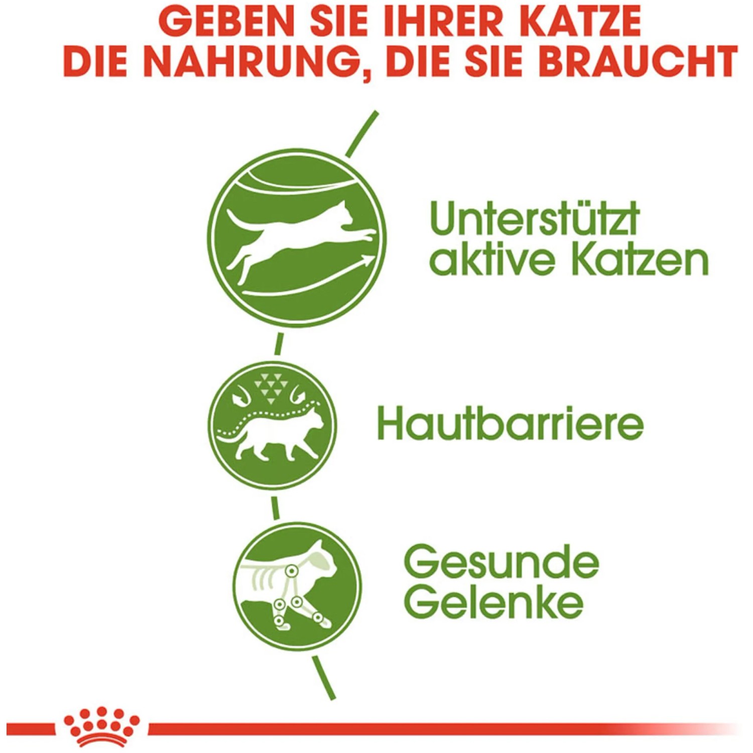 Grafik zu Royal Canin Outdoor Katzenfutter: Unterstützung für aktive Katzen, Hautbarriere und gesunde Gelenke.