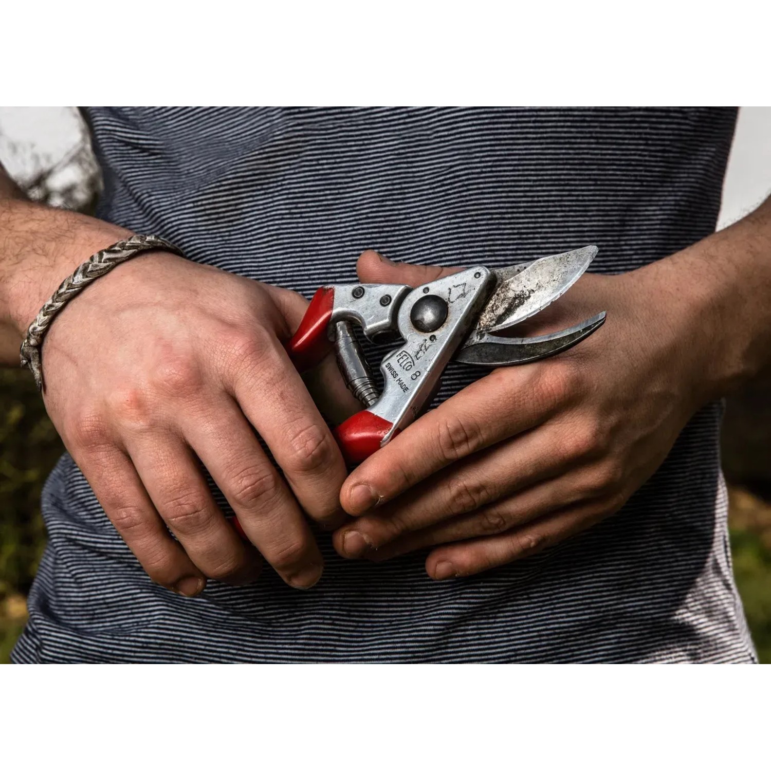 Felco Gartenschere 8 in Händen, ideal für Baum- und Rebschnitt mit präzisem Schnitt.