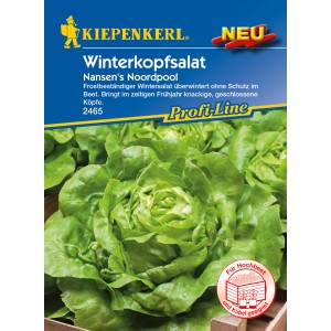Kiepenkerl Winterkopfsalat "Nansen´s Noordpool"