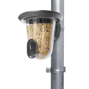 SingingFriend Vogelfutter-Spender Feedr Grey am Rohr, gefüllt mit Vogelfutter.