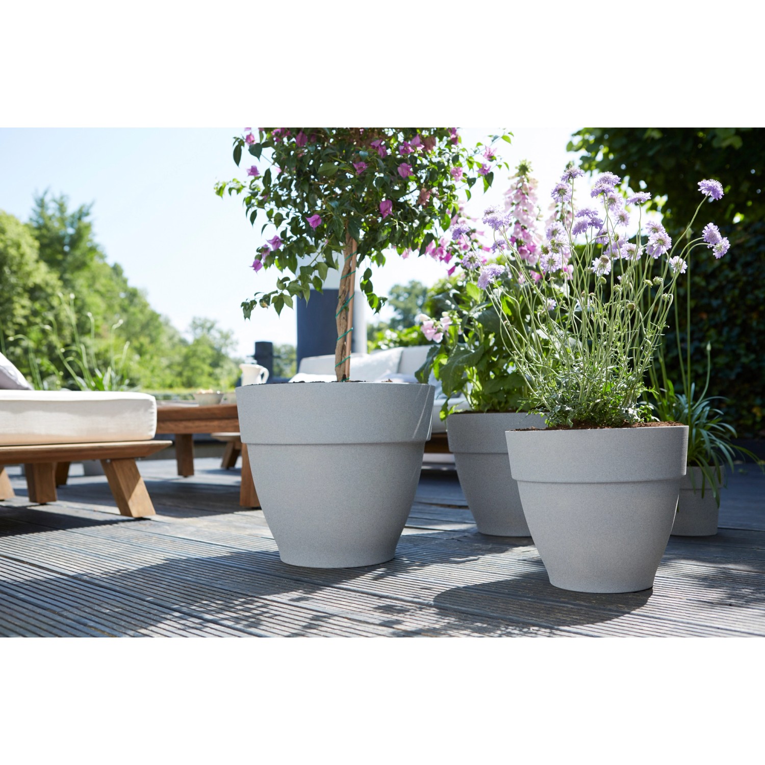 Elho Blumentopf Vibia Campana, Ø 30 cm, Living Beton, mit Pflanzen auf einer Terrasse.