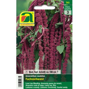 Saatgut Fuchsschwanz Burgunderrot: Amaranth mit langen, roten Blütenrispen.
