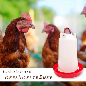 Weiße und rote beheizbare Supravit Geflügeltränke für Hühner, mit Hühnern im Hintergrund.
