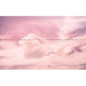 Komar Fototapete Vlies Cloud Wire  400 x 250 cm