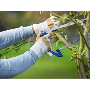 Person mit braun-beigen Arbeitshandschuhen Größe 10 beim Baumschnitt.