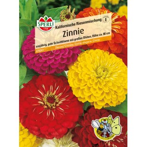 Samenpackung Sperli Zinnie Kalifornische Riesenmischung mit bunten Zinnienblüten.