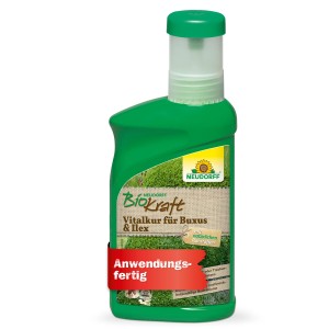 Neudorff BioKraft Vitalkur für Buxus & Ilex, 300ml Flasche, Pflanzenstärkung für vitalere Pflanzen.