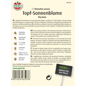 Sperli Topfsonnenblume Big Smile Gelb: Samenpackung mit Infos zu Aussaat und Eigenschaften.
