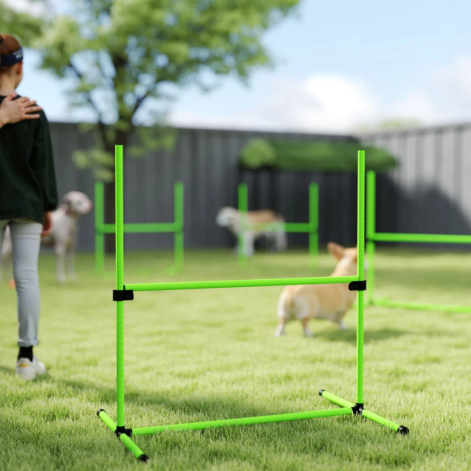 Grünes Kunststoff Agility Set für Hunde. Verstellbare Hürde für Hundetraining im Garten.