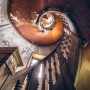 Komar Fototapete Vlies Oak Spiral: Detailaufnahme einer Wendeltreppe mit Holzgeländer.