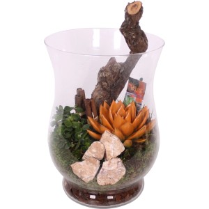 Herbstliches Sukkulenten-Arrangement in Glasvase mit Deko-Elementen, Topf-Ø ca. 15 cm.