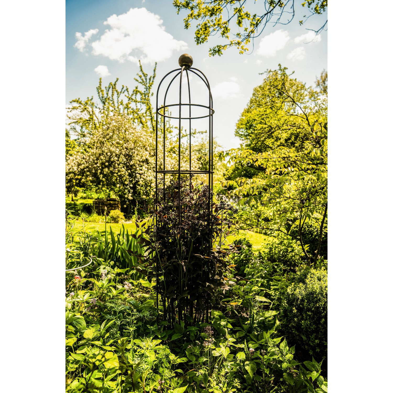 Eleo Obelisk Messina Groß, pulverbeschichtet, anthrazitfarbene Rankhilfe im Garten.