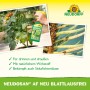 Neudorff Neudosan AF Neu Blattlausfrei 500ml: Sprühen gegen Blattläuse und Spinnmilben auf Tomatenpflanze und Fichte.