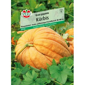Sperli Kürbis Gran gigante Samenpackung mit großem, orangefarbenem Kürbis.