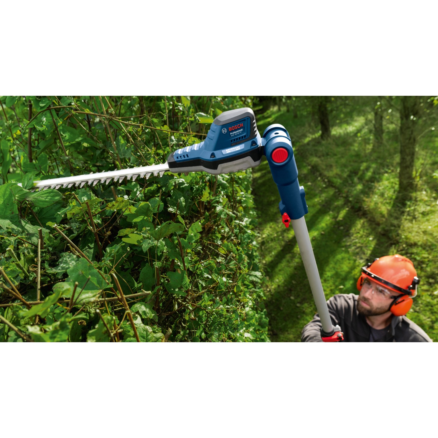 Bosch Professional AkkuTeleskopheckenschere GHE 18V50 TP Solo kaufen