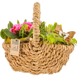 Frühlingsblüher-Arrangement im Weidenkorb (Ø 30cm) mit Primeln, Efeu und Holzschmetterlingen.