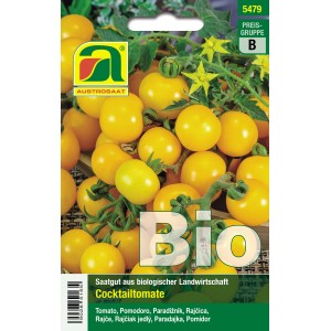 Bio Cocktailtomate Clementine Saatgut: Gelbe Tomaten an Rispen.