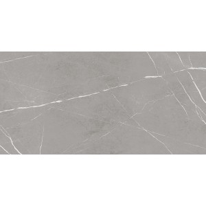 Graue Feinsteinzeug Bodenfliese, 60x120 cm, polierte Steinoptik für Innenräume.