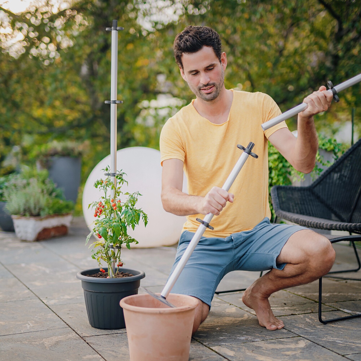 Gusta Garden Tomatenrankhilfe Tomato Buddy, silber, im Einsatz im Pflanzkübel.