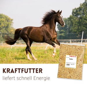Supravit Futterhafer: Braunes Pferd galoppiert auf Wiese, daneben ein Beutel Hafer. Energiereiches Pferdefutter.
