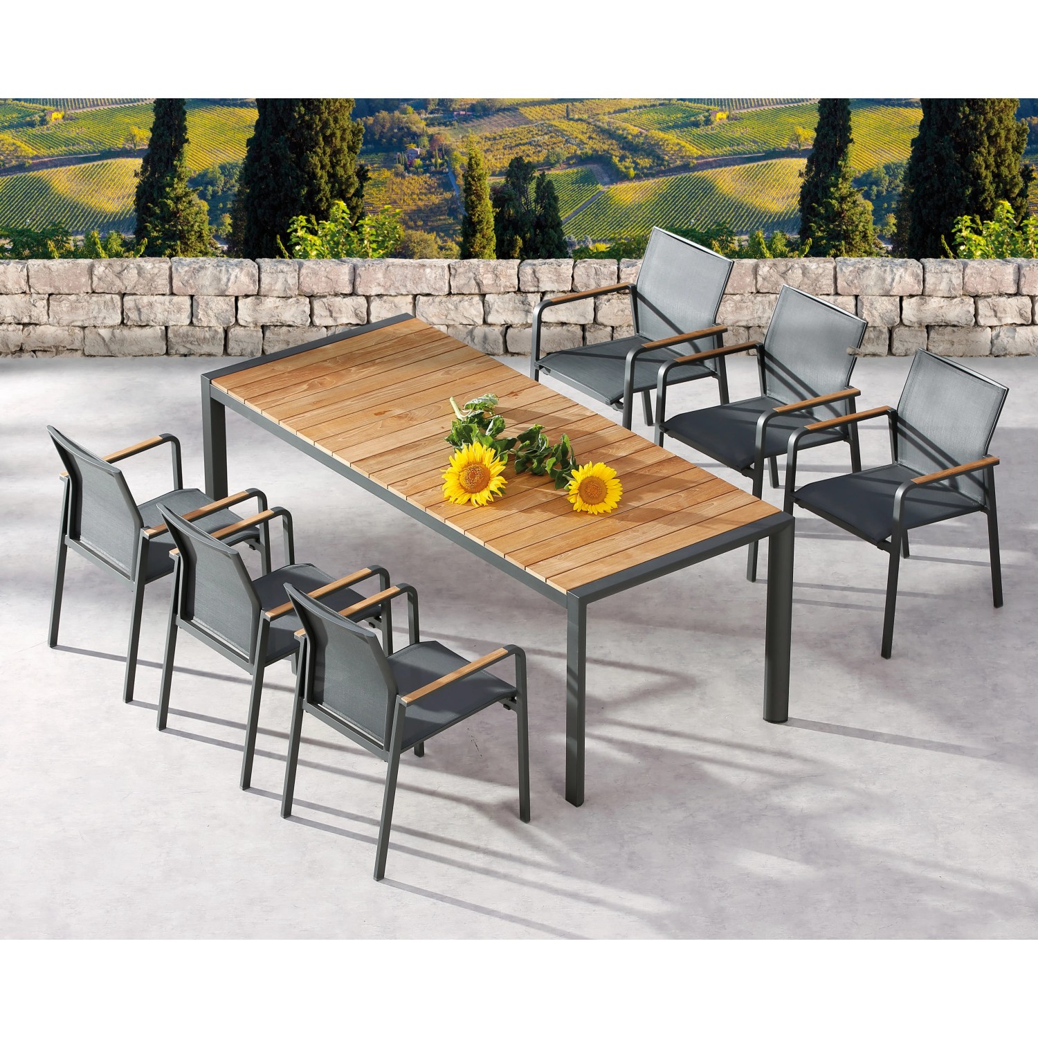 Barths Gartentisch Paros Rechteckig Holz Anthrazit 210 cm x 90 cm kaufen bei OBI