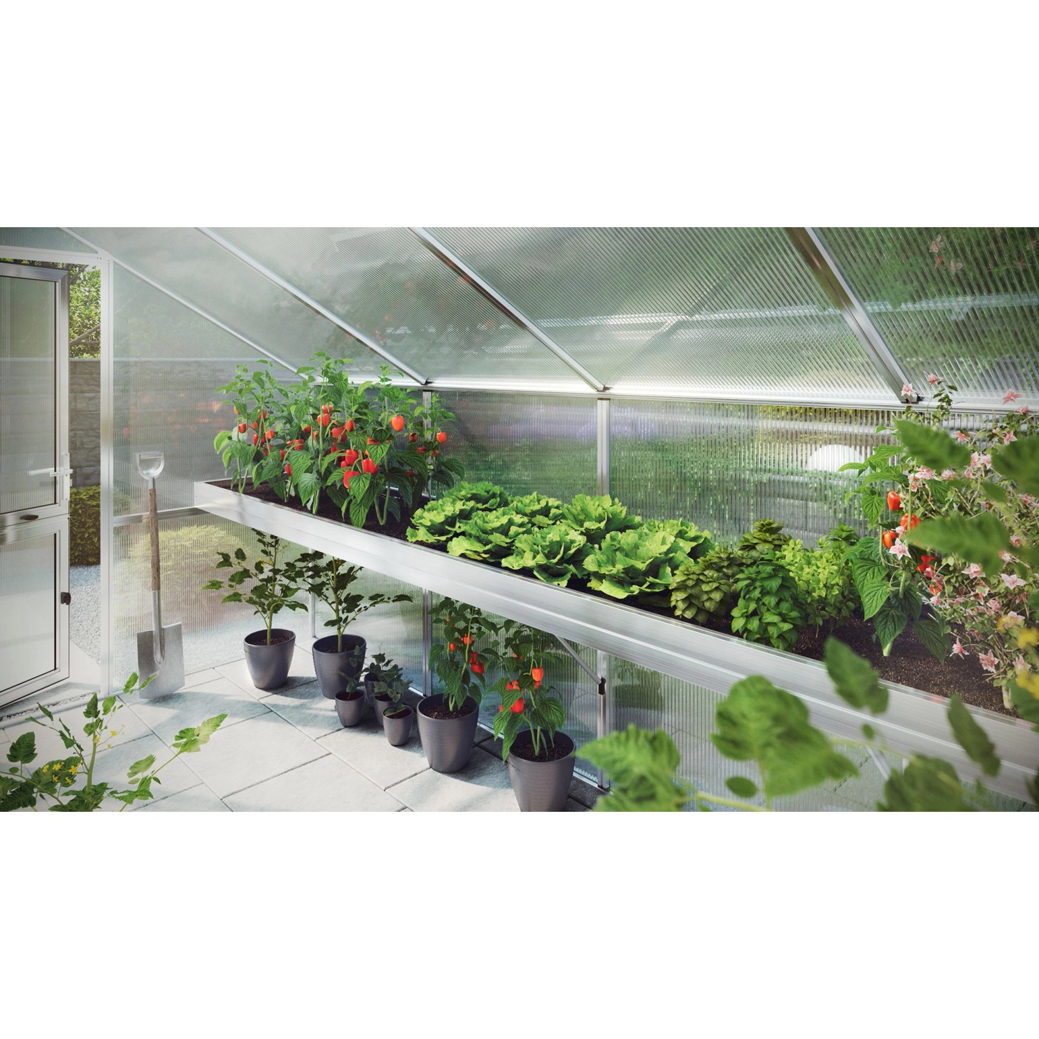 KGT Pflanzwanne Orchidee III Alu blank im Gewächshaus mit Pflanzen.