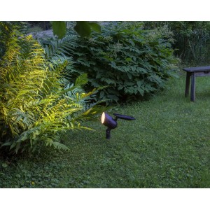Schwarzer Star Trading Solar-Gartenstrahler Powerspot beleuchtet Farn im Garten.