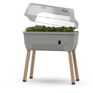 Gusta Garden Hochbeet Sammy Salad, 40L, hellgrau mit Salat und transparenter Haube.