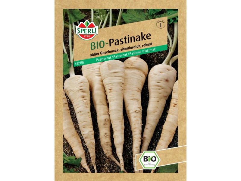 Sperli Gemüsesamen Pastinake Gladiator F1 – 1 Portion, Ertragreich Und Geschmackvoll