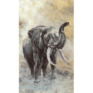 Marburg Vliestapete Elefantenmotiv Grafisch Modern 270 cm x 159 cm Weiß