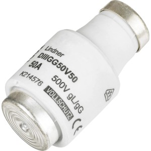 Sicherung DIII/E33 50 A Träge 5 Stück