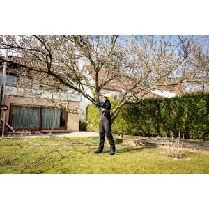 Mann schneidet Baum mit Metabo Hochentaster-Aufsatz MA-MS 25 im Garten.
