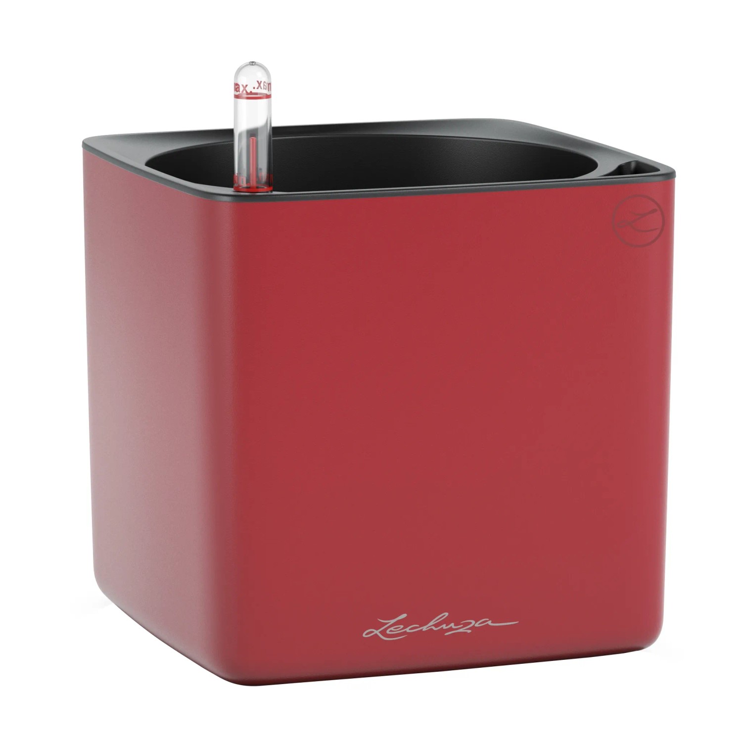 Lechuza Cube Color 16 - acquista su