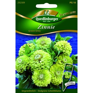 Quedlinburger Zinnien 'Green Envy' Blumensamen-Packung mit lindgrünen Blüten.