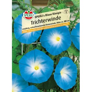 Samenpackung Sperli Kaiserwinde 'Blaue Königin' mit leuchtend blauen Trichterblüten.