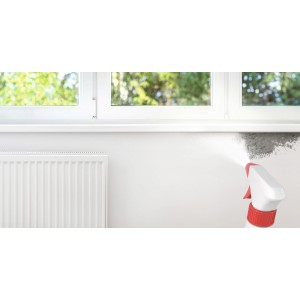 Anwendung von Alpina Schimmel-Entferner chlorfrei im Bad zur Schimmelbeseitigung an der Wand.