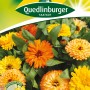 Samentüte Quedlinburger Ringelblume 'Fiesta Gitana Mischung' mit orangefarbenen und gelben Blüten.