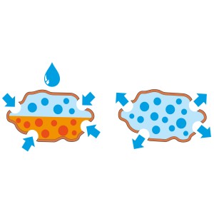 Grafik: Wasseraufnahme und -abgabe von Seramis Orchideensubstrat mit Pfeilen.