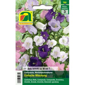 Austrosaat Marienglockenblume Saatgut, einfache Mischung in verschiedenen Farben.