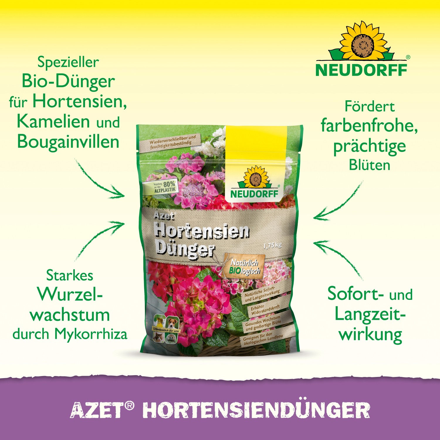 Neudorff Azet Hortensiendünger 1,75 kg für kräftige, farbenfrohe Blüten. Organischer Dünger mit Langzeitwirkung.