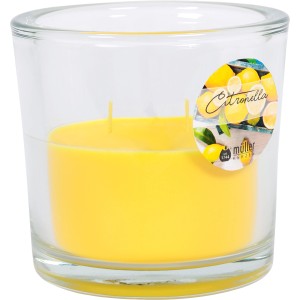 Citronella Duftkerze im Glas mit 2 Dochten für den Outdoor-Bereich, 12,3x12,3cm.