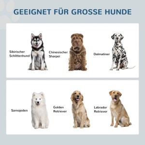 Große Hunderassen: Husky, Dalmatiner, Labrador, Sharpei, Samojede. Ideal für erhöhten PawHut Hundenapf.