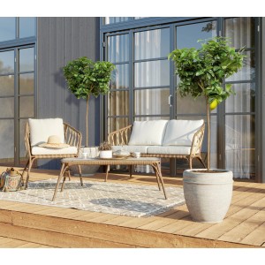 Mediterraner Garten: Zitronenbaum Stamm XXL (140-160cm) im Topf, mit Gartenmöbeln auf Terrasse.