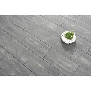 Diephaus Terrassenplatten Daras Quarzit, 60x30 cm, graue Gehwegplatten mit Pflanze.