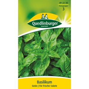 Quedlinburger Basilikum ''Grün''