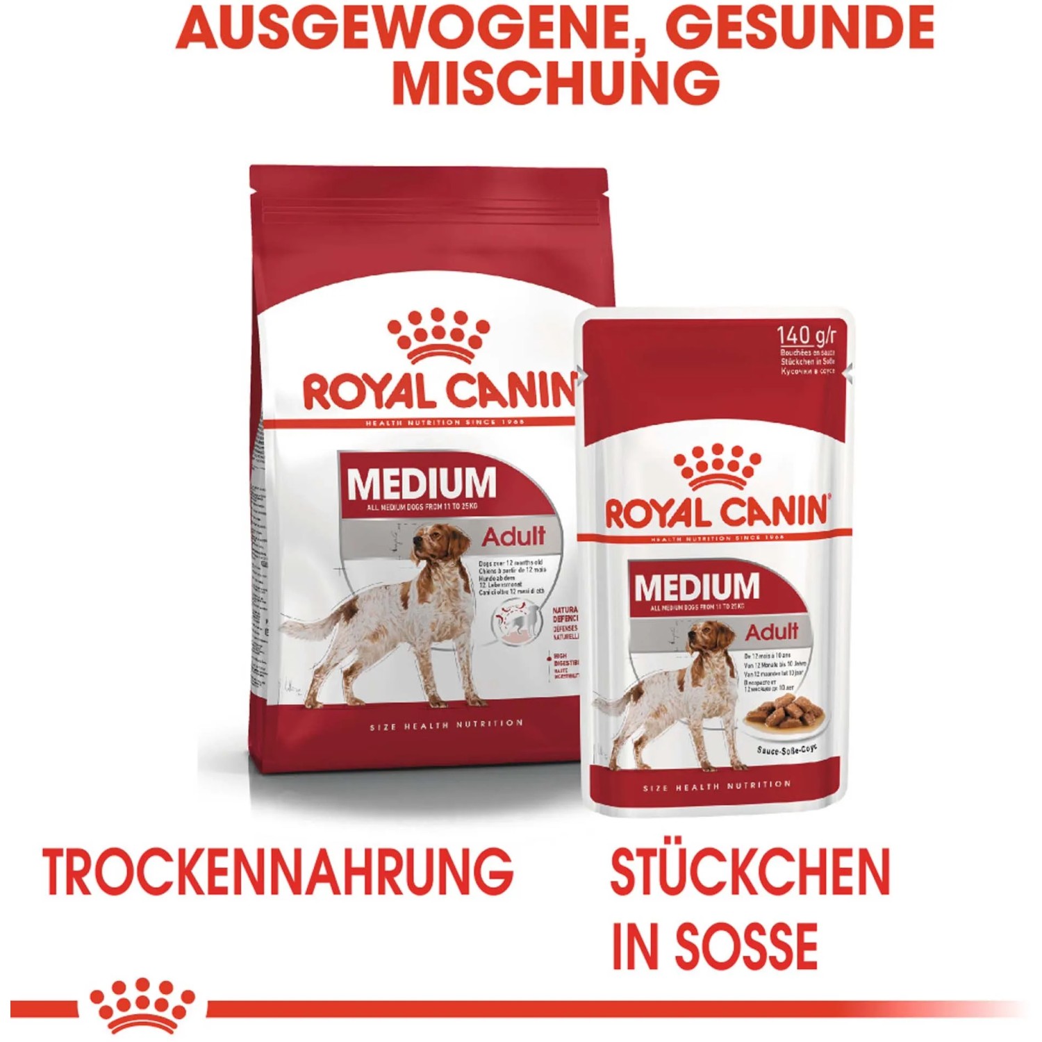 Royal Canin Medium Adult 7+ Trockenfutter und Feuchtfutter für mittelgroße Hunde.