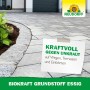 Neudorff Grundstoff Essig Biokraft gegen Unkraut auf Wegen und Terrassen.
