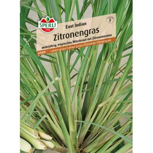 Sperli Zitronengras East Indian: Kräutersamen mit zitronenartigem Aroma für die asiatische Küche.