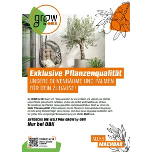 GROW by OBI Palmen Sortenmix, verschiedene Palmenarten im Topf, Höhe 60-80cm.