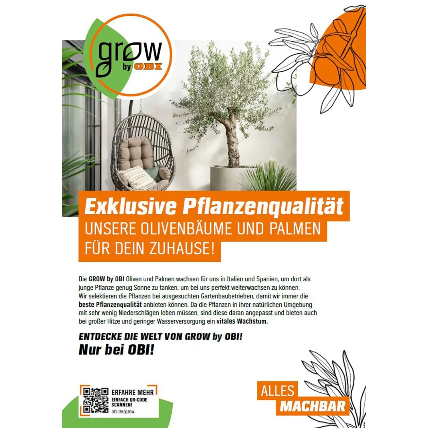 GROW by OBI Palmen Sortenmix, verschiedene Palmenarten im Topf, Höhe 60-80cm.